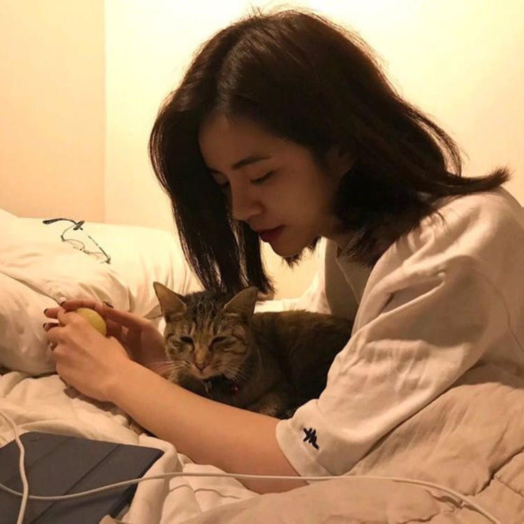 武田观柳（身份：恶德实业家、操纵鸦片贸易） - 猪蜜蜜电视剧大全在线观看11 - 网页看视频